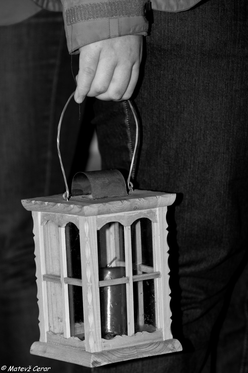 Sprejem LMB na Dunaju