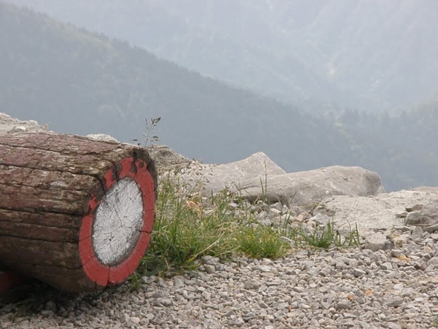 Ko se vodnica odloči, da bi lahko svet vodnikov med poletjem kam šel, nam zakuha eno tako malo presenečenje..