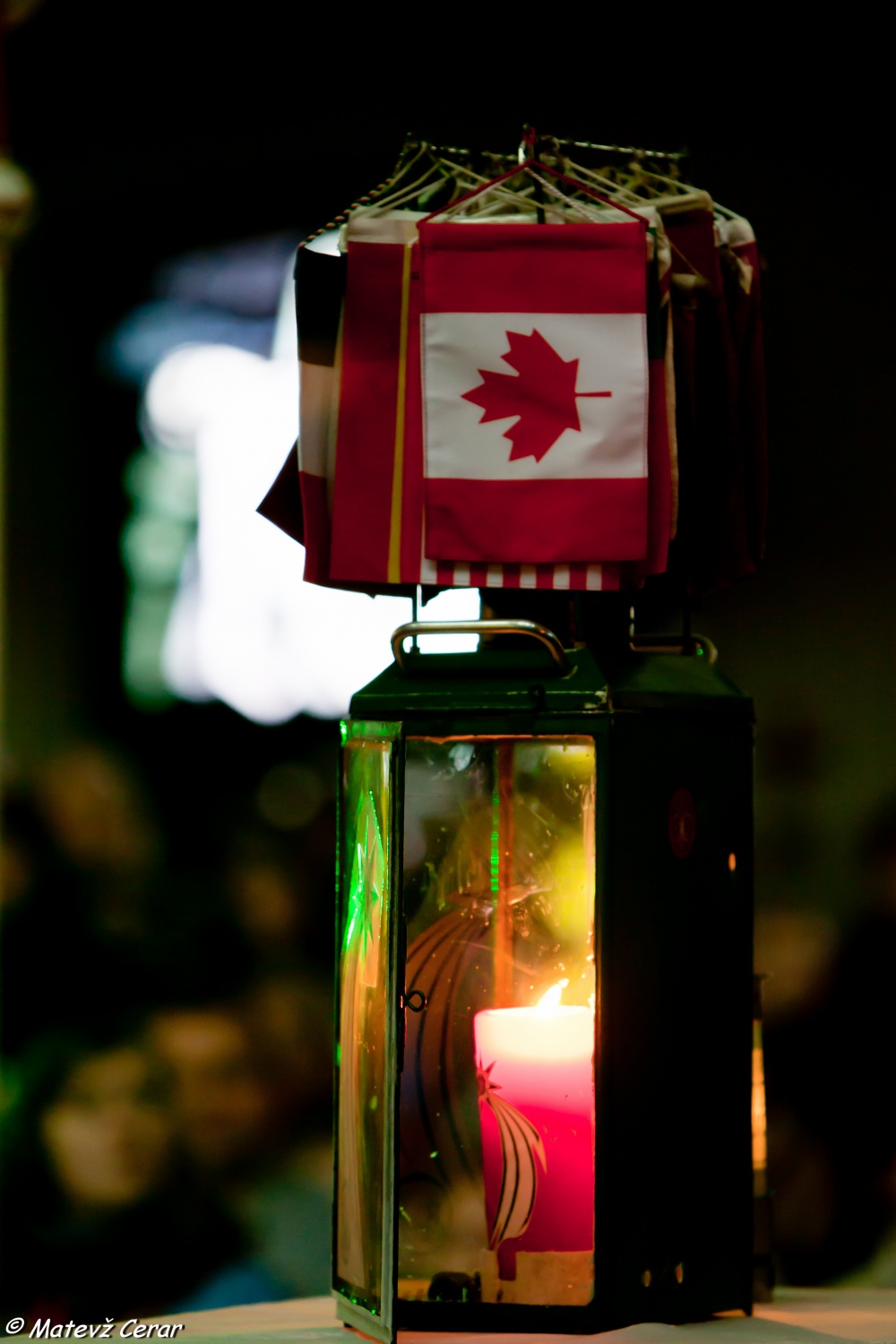 Sprejem LMB na Dunaju