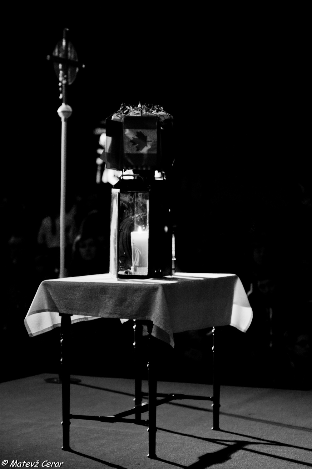 Sprejem LMB na Dunaju