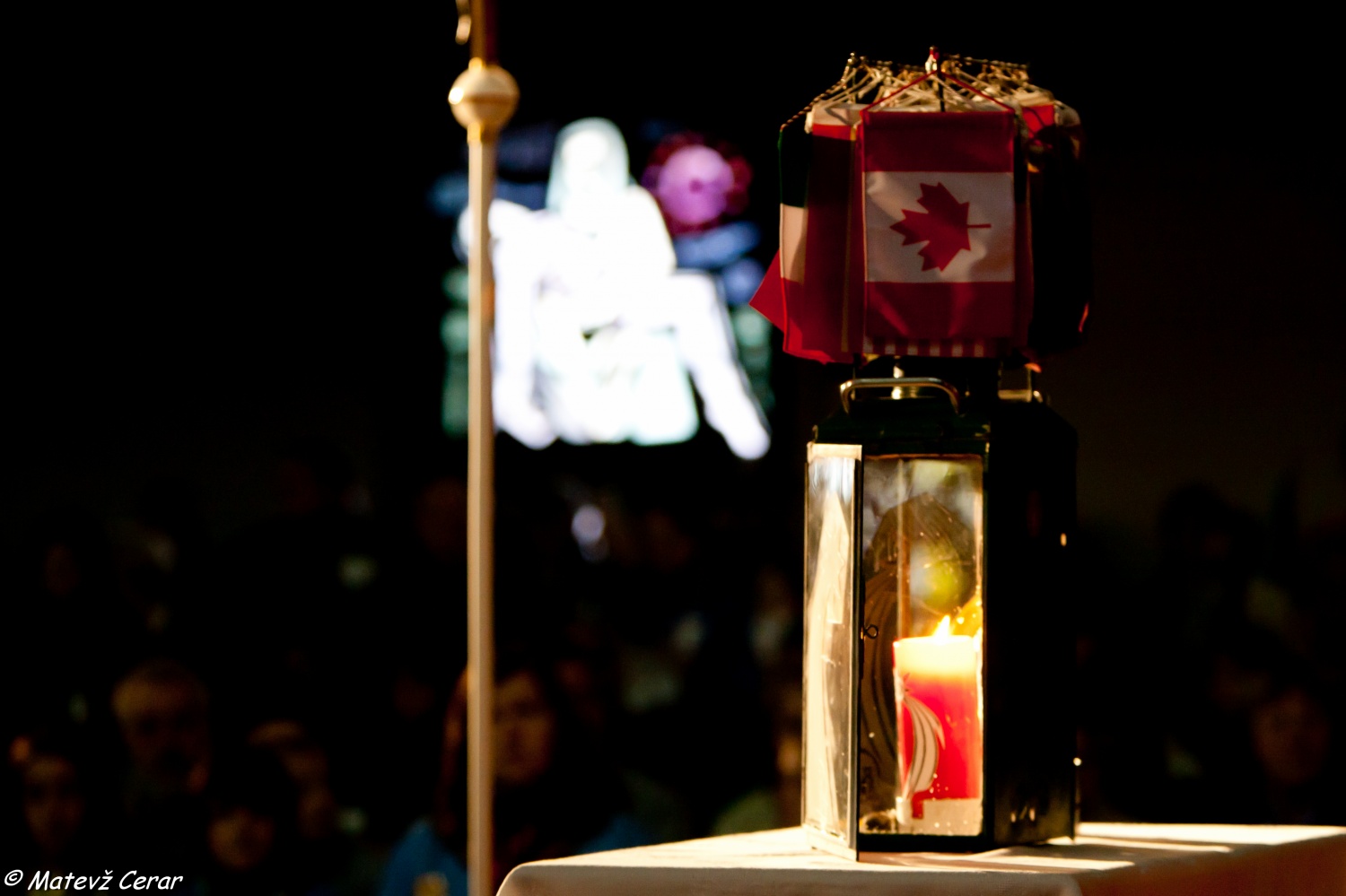 Sprejem LMB na Dunaju