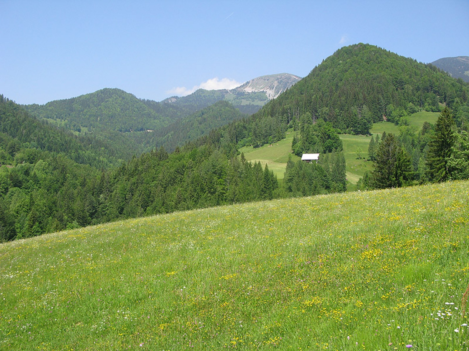 Ljubljanske mestne srajce, še huje, spodnje majice iz Fužin, so prehitele Jeseniški pohod in tako že v soboto osvojili 1890m visoko Golico.