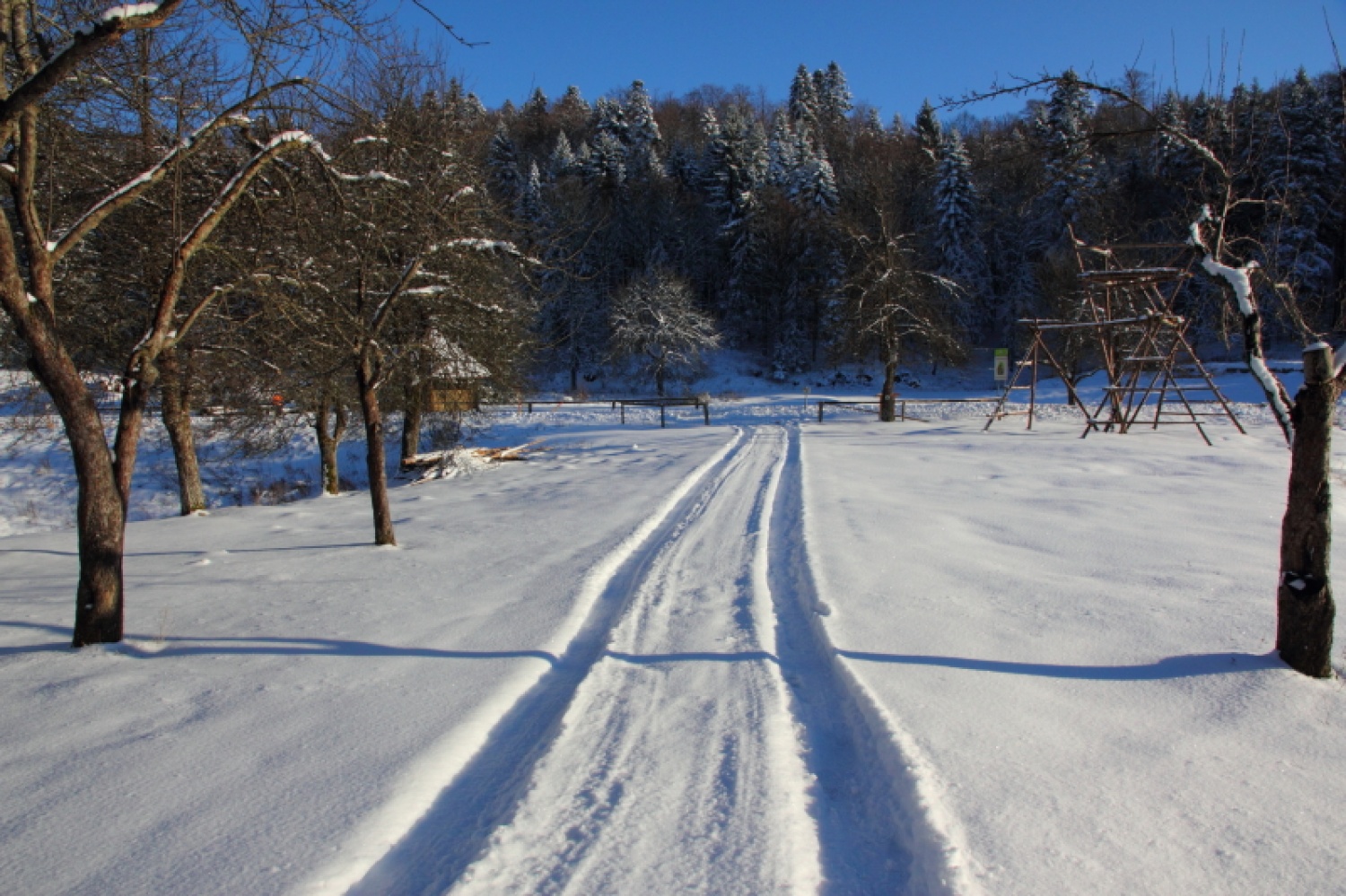 Na dan, ko je našo deželo letos prvič pobelil sneg, se je nekaj najbolj zagretih »rogovcev« odpravilo v skavtski okoljski center na praznovanje in zaključek vseh letošnjih in preteklih prizadevanj po oživitvi hiše in njene okolice.