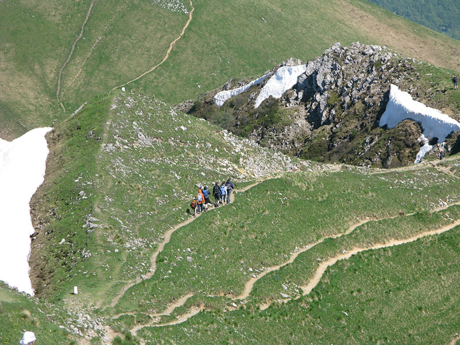 Ljubljanske mestne srajce, še huje, spodnje majice iz Fužin, so prehitele Jeseniški pohod in tako že v soboto osvojili 1890m visoko Golico.