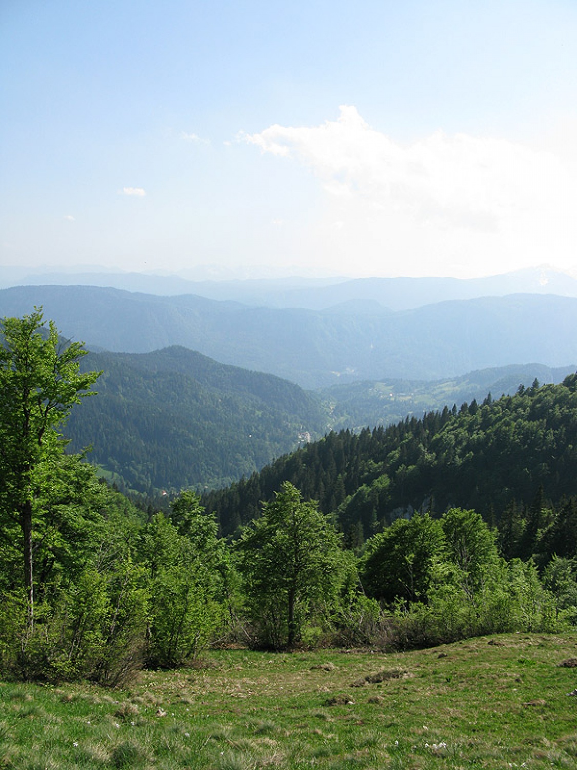 Ljubljanske mestne srajce, še huje, spodnje majice iz Fužin, so prehitele Jeseniški pohod in tako že v soboto osvojili 1890m visoko Golico.