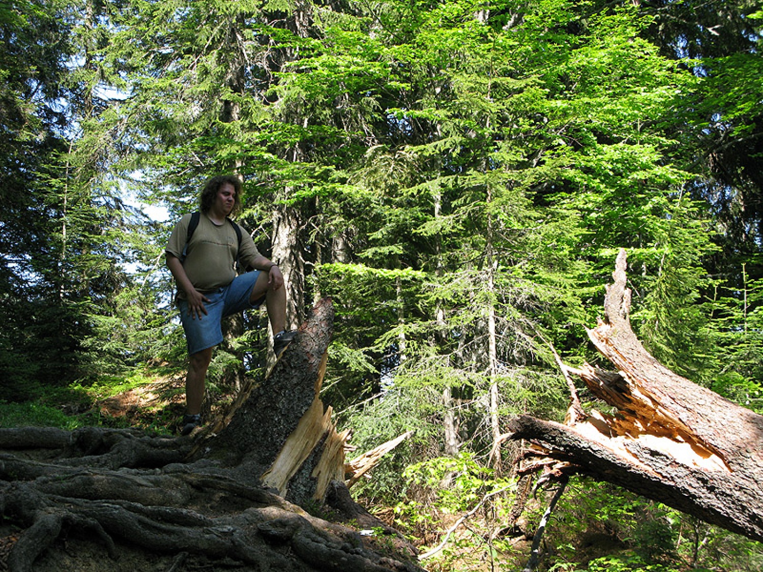 Ljubljanske mestne srajce, še huje, spodnje majice iz Fužin, so prehitele Jeseniški pohod in tako že v soboto osvojili 1890m visoko Golico.