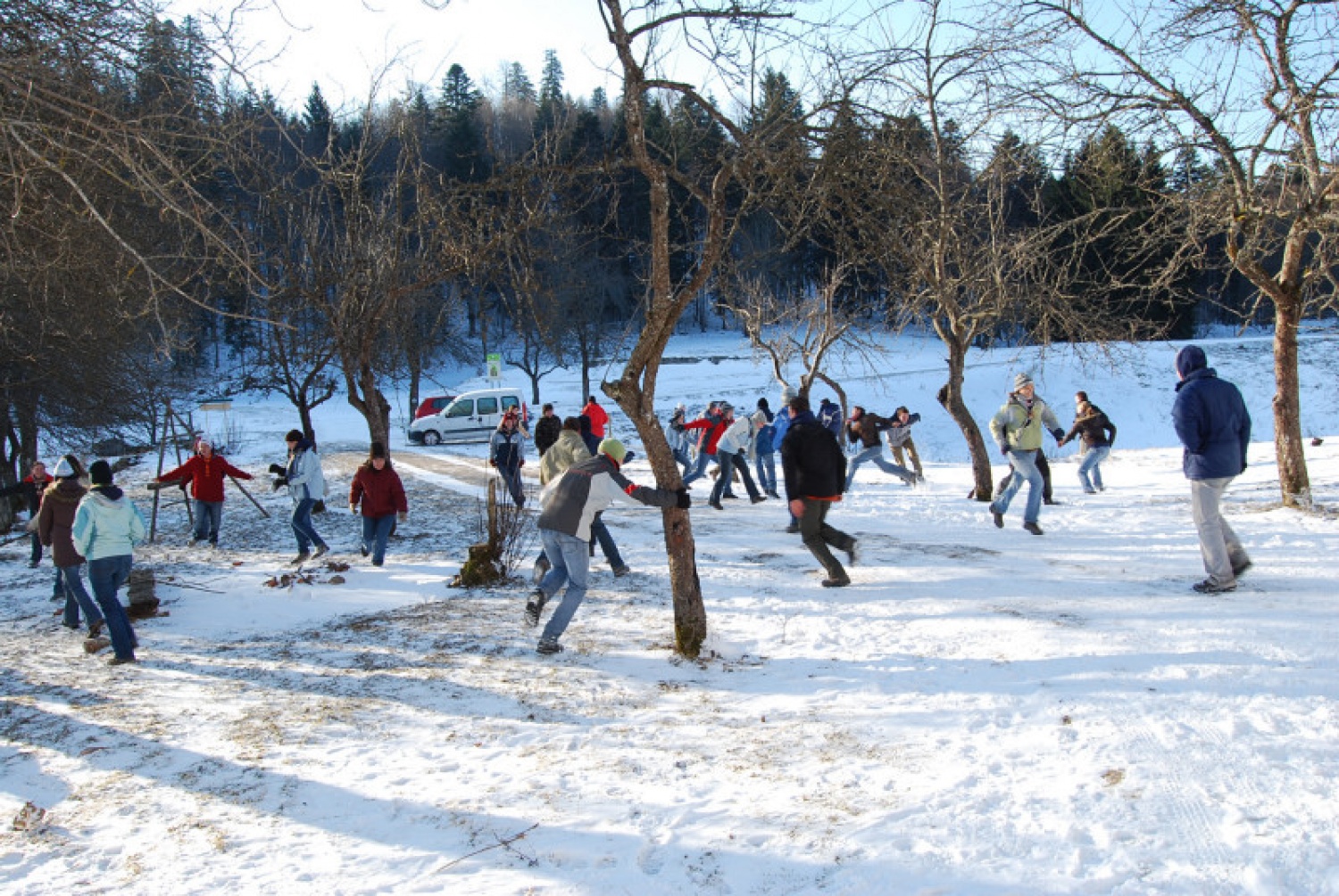 DSV IV Kočevski rog