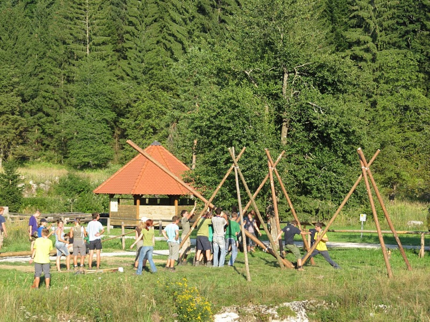 Zgradbarstvo v polnem zamahu