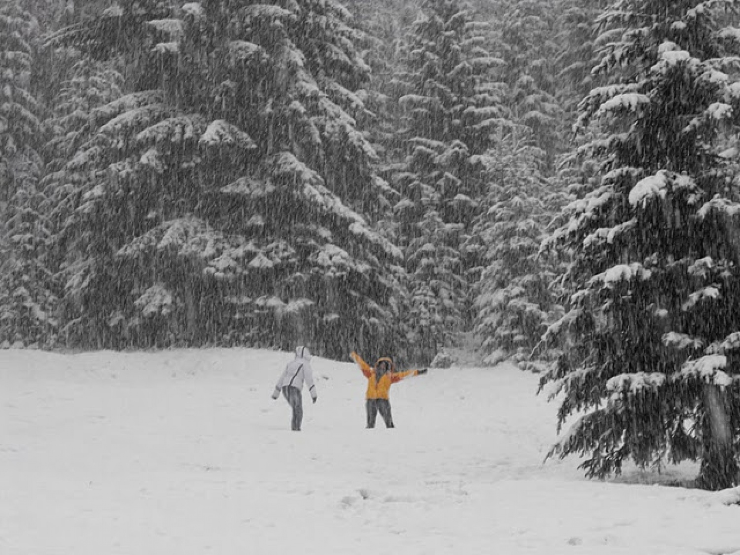 Zapadel je prvi sneg...
