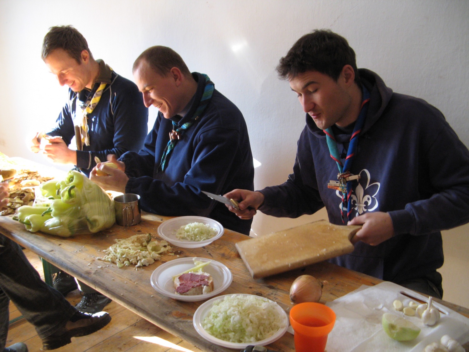 DSV IV Kočevski rog