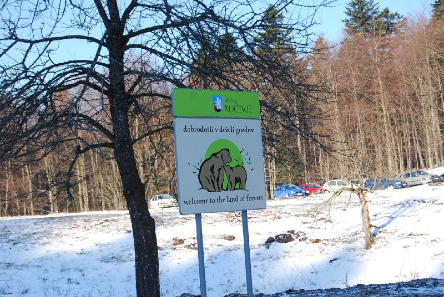 DSV IV Kočevski rog