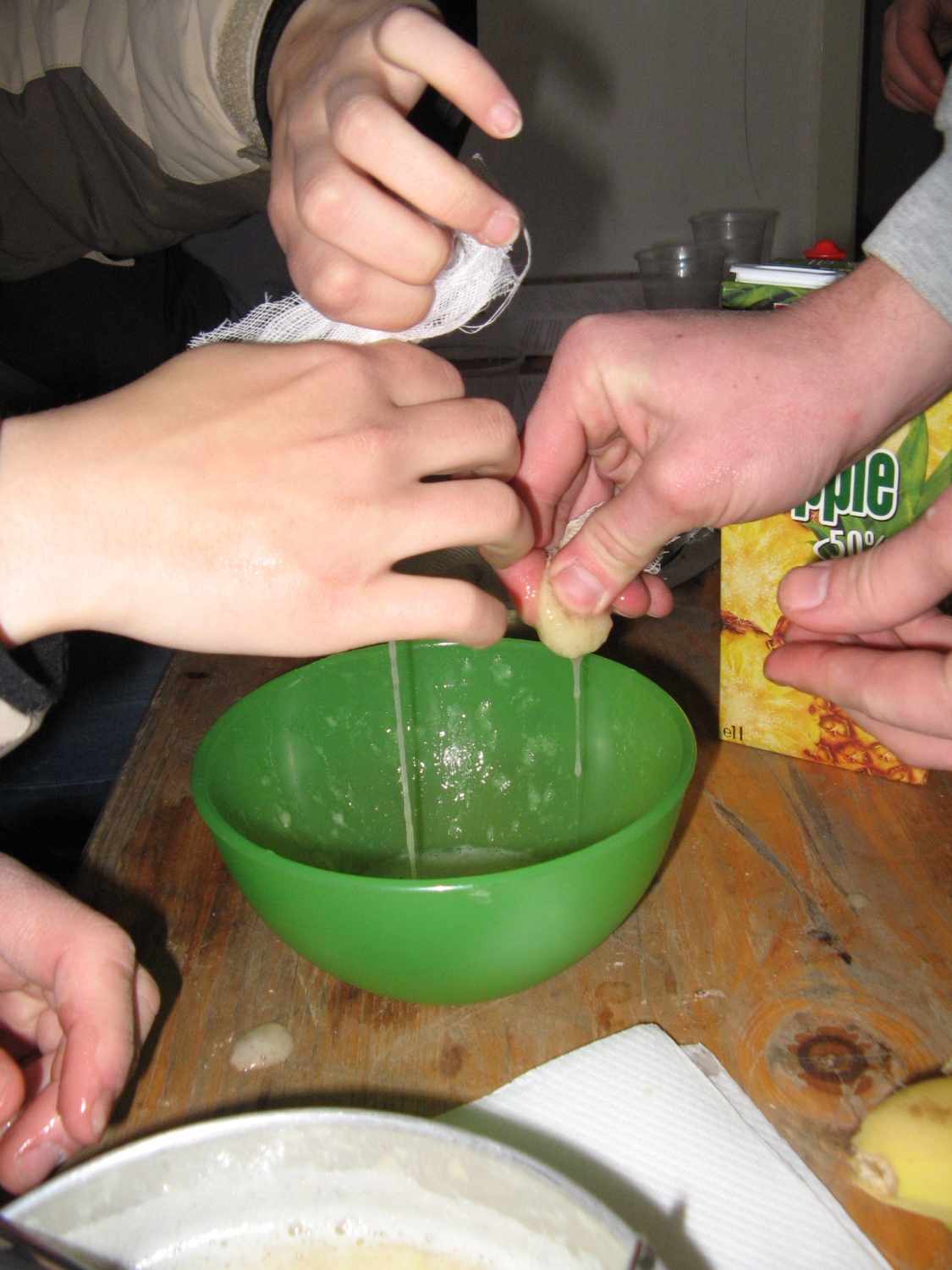 DSV IV Kočevski rog