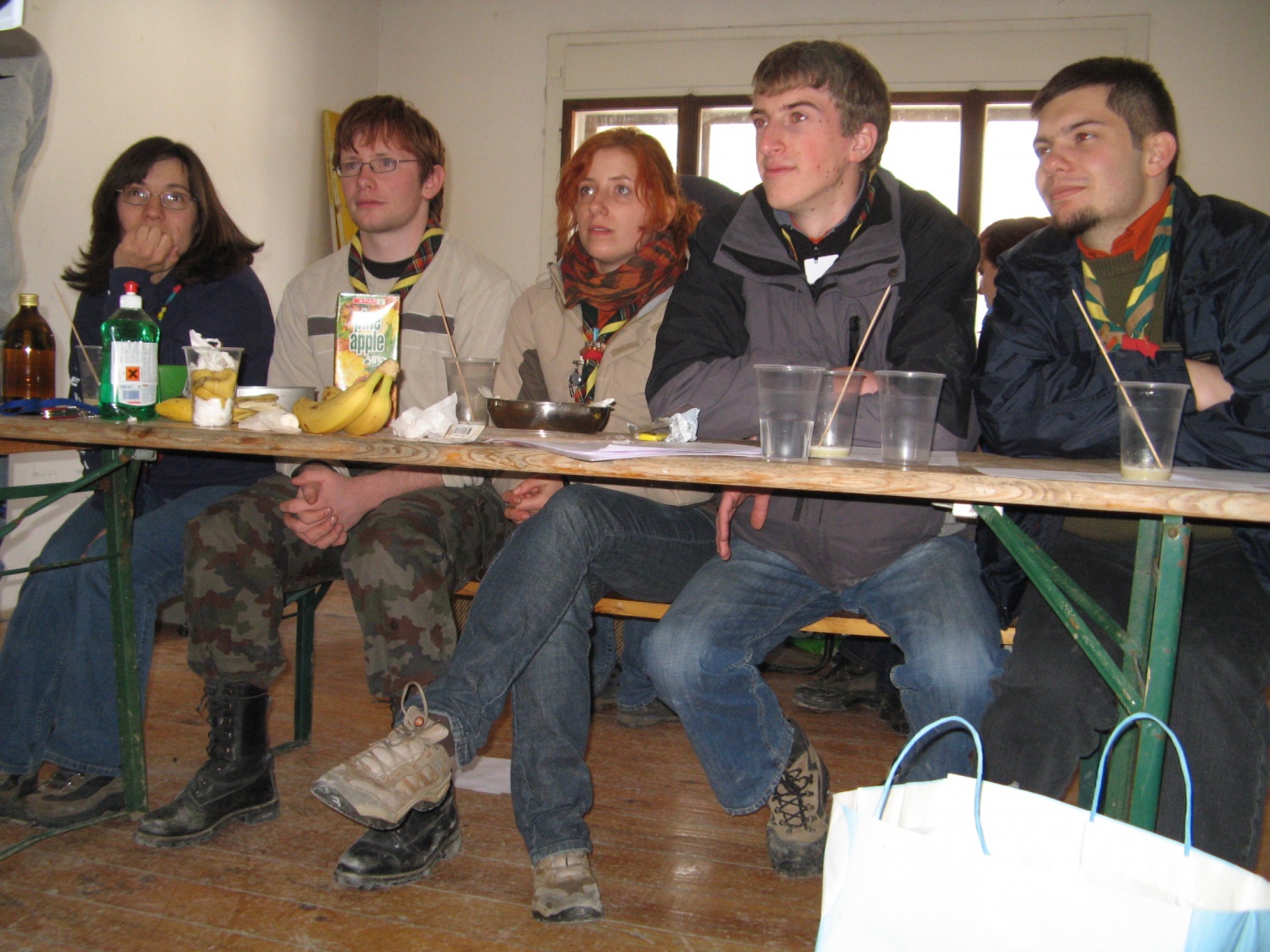 DSV IV Kočevski rog