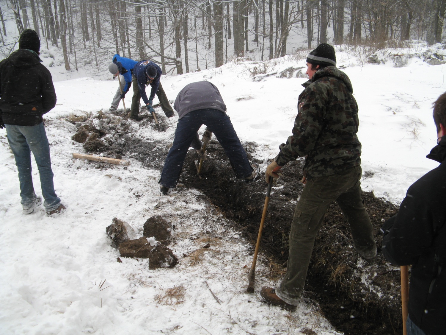 DSV IV Kočevski rog