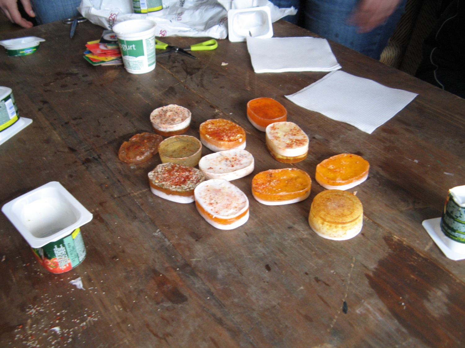 DSV IV Kočevski rog