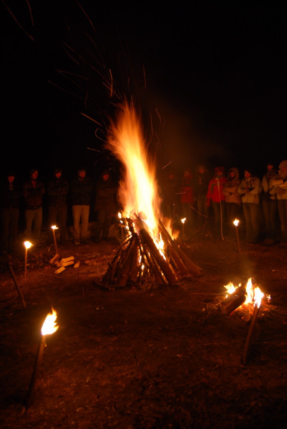 DSV IV Kočevski rog