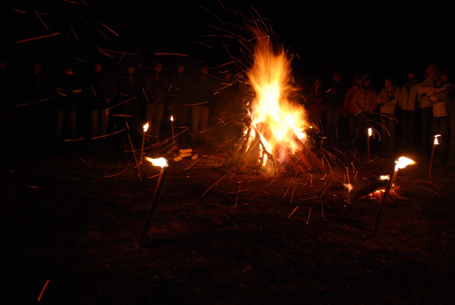 DSV IV Kočevski rog