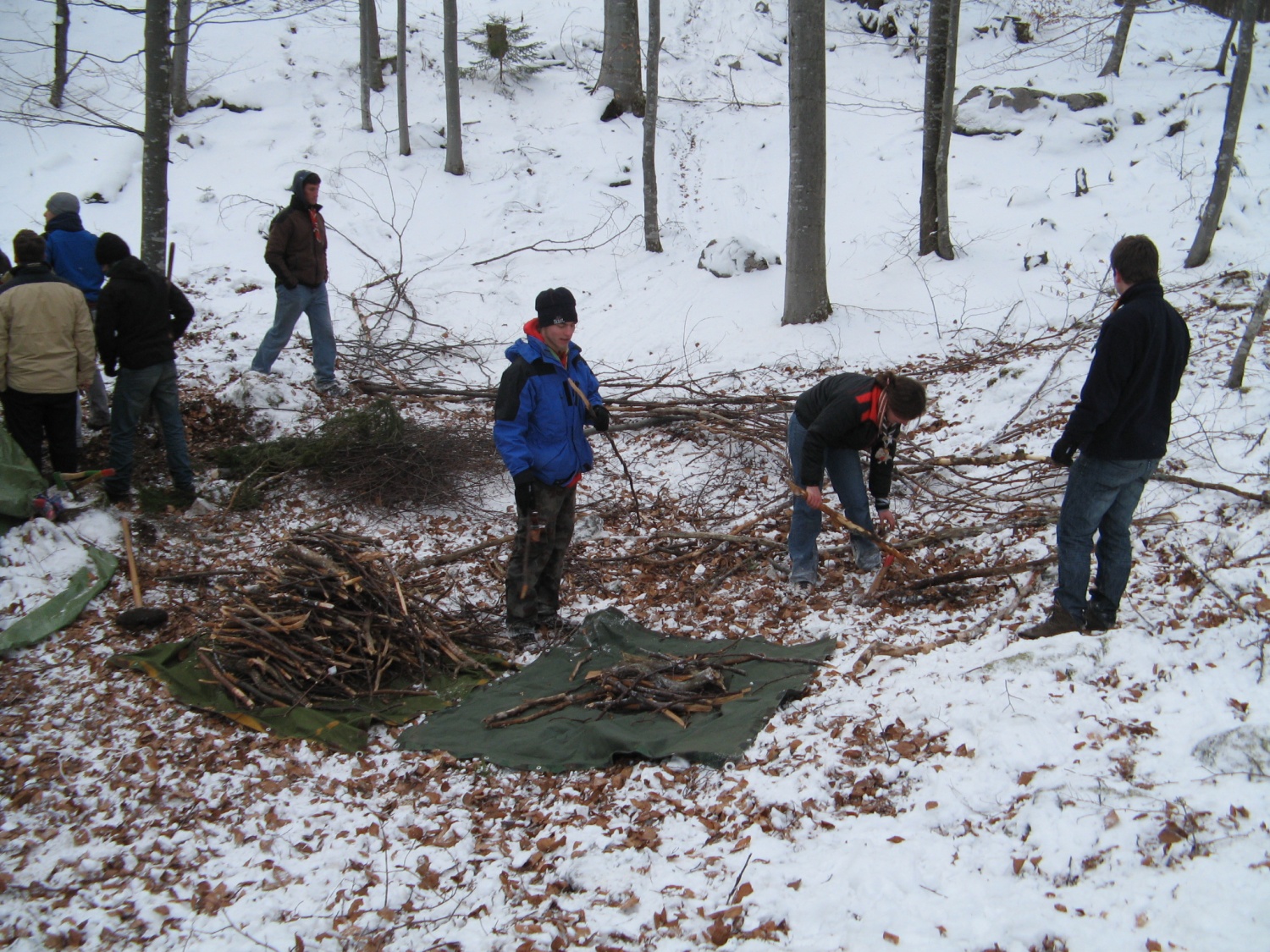 DSV IV Kočevski rog