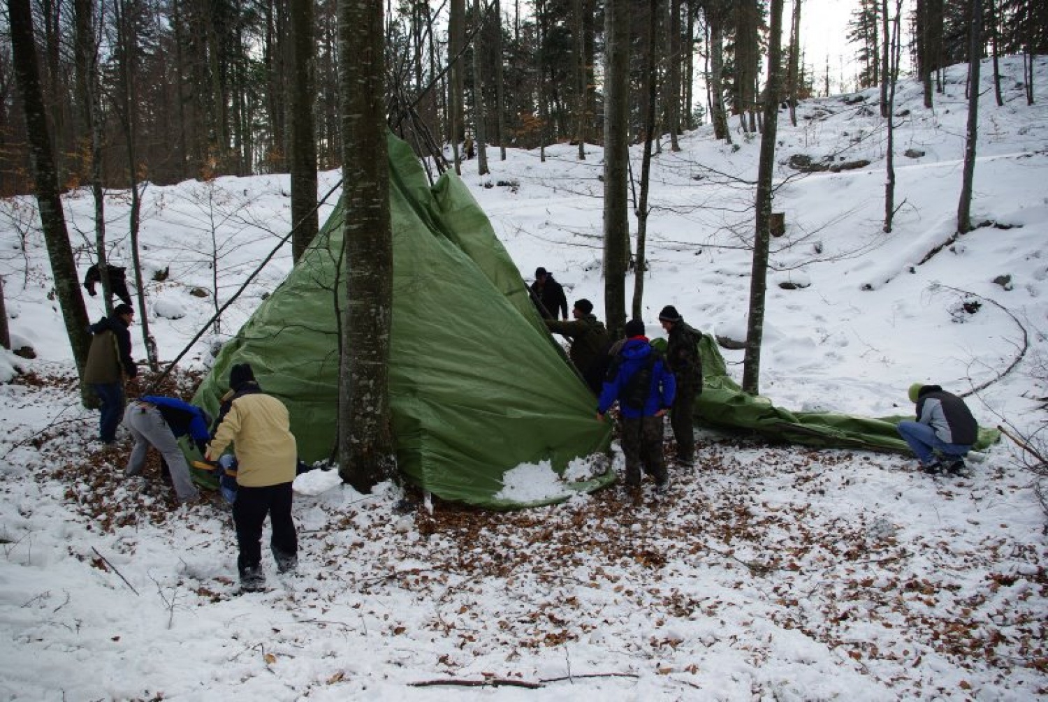 DSV IV Kočevski rog