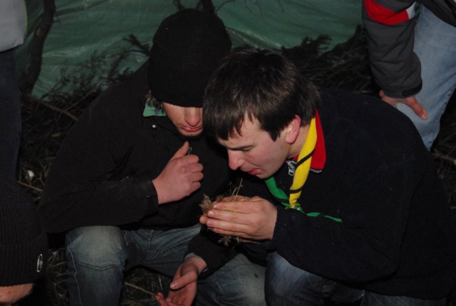 DSV IV Kočevski rog