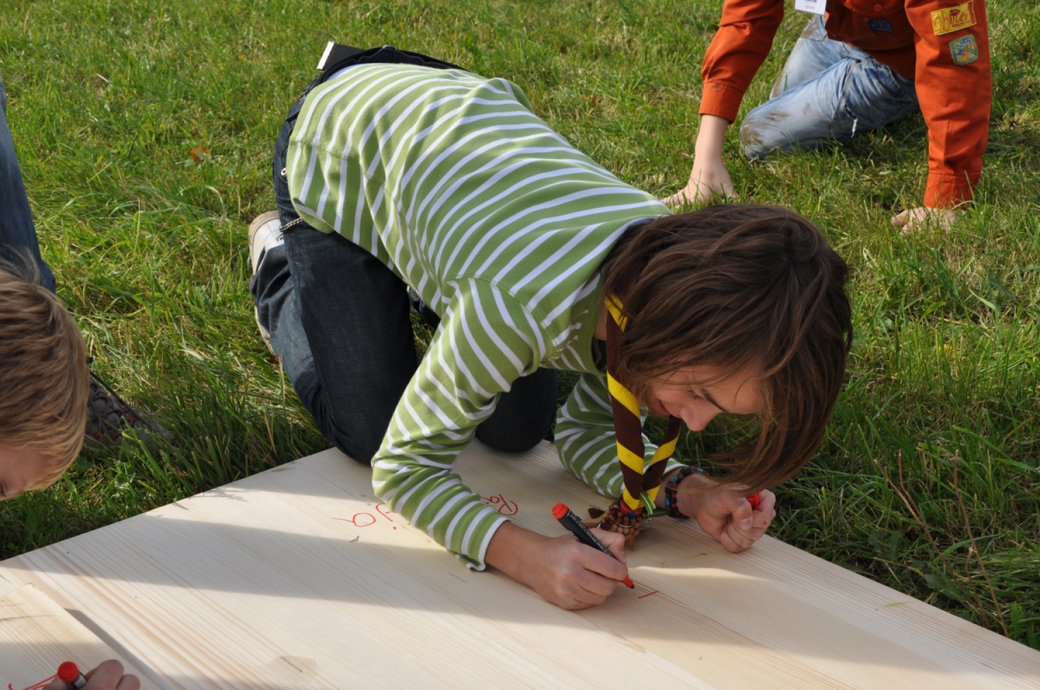 Pretekli konec tedna (23. In 24. Oktobra 2010) se je v Mozirju zgodil tradicionalni JAM – srečanje vseh skavtinj in skavtov mariborske regije. Kmetije nismo rodali, smo pa zato doživeli zares lep skavtski dogodek.