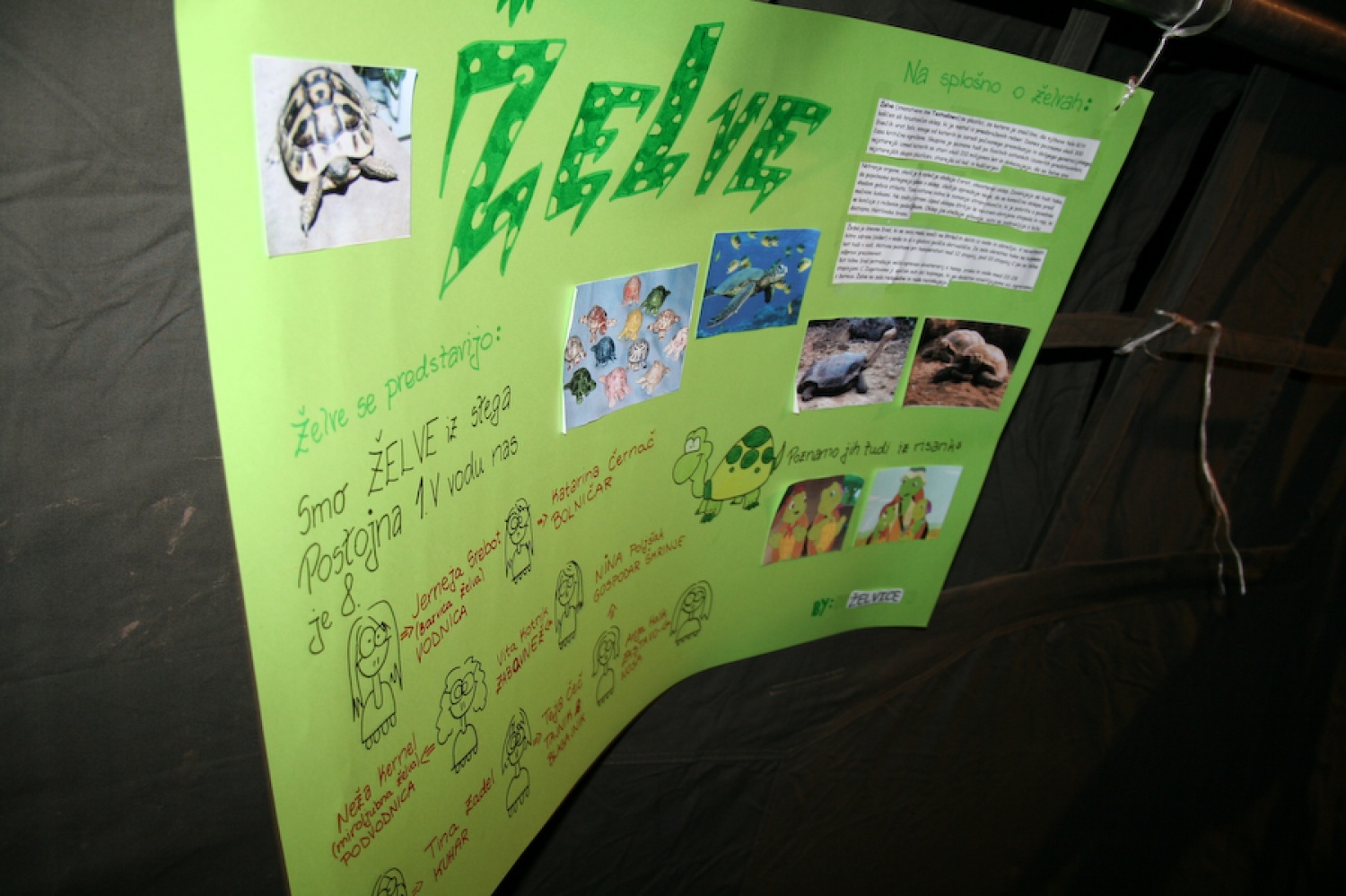 Skavtska tržnica PO1