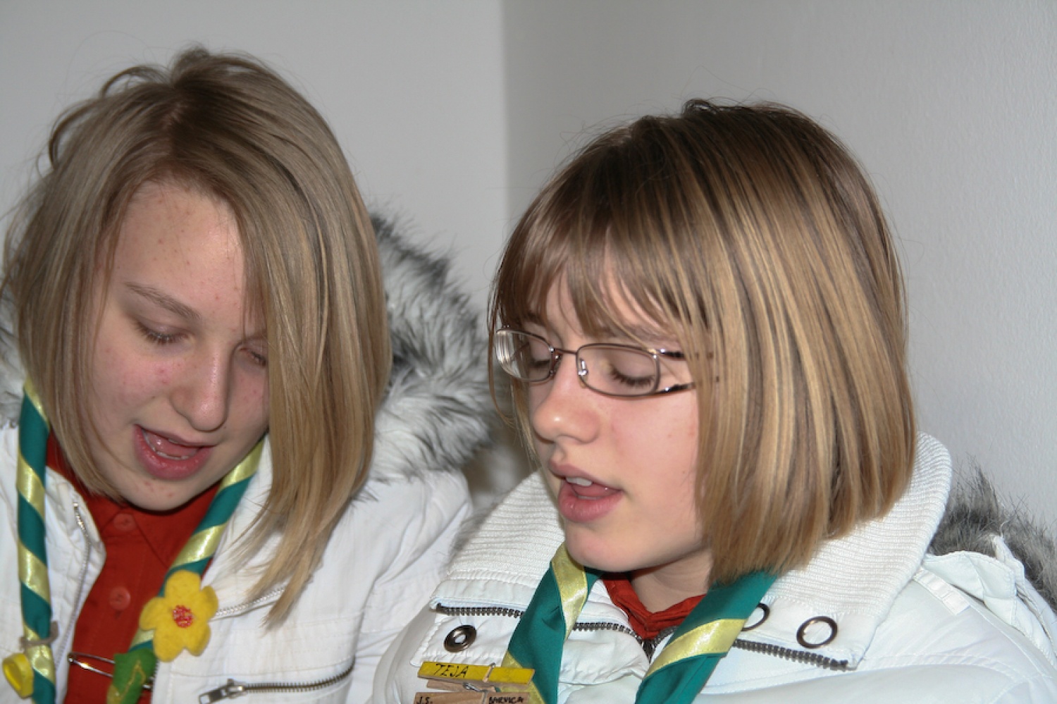 Skavtska tržnica PO1