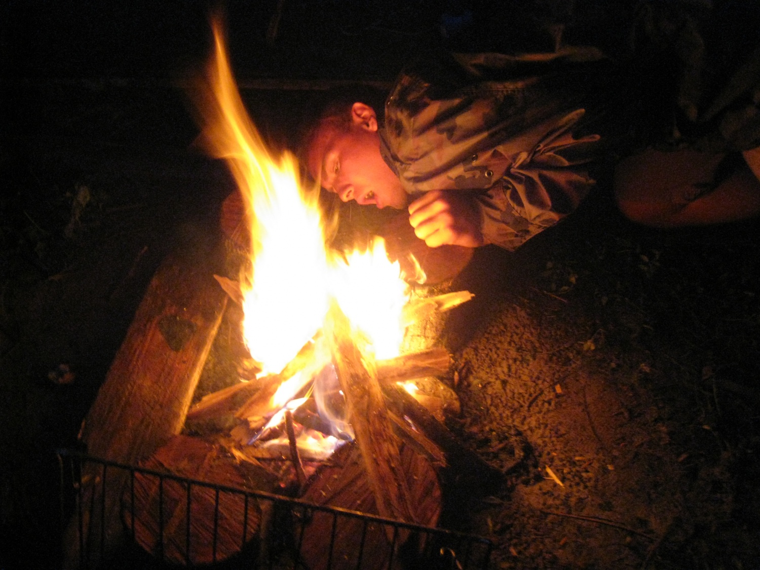 Ljubljanski požigalec