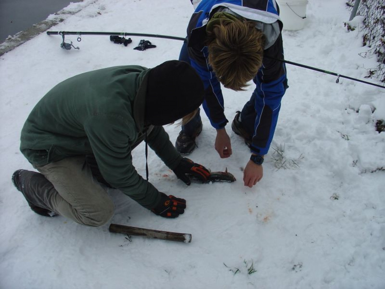 koliko skavtov potrebuješ, da iztaknejo en trnek? odgovor: tri