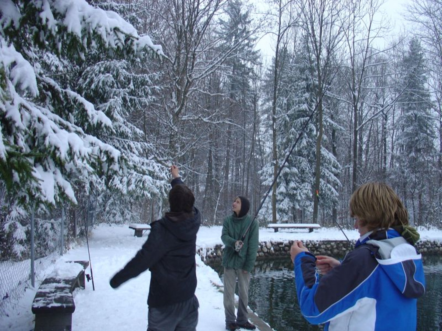 Reševanje trnka z drevesa