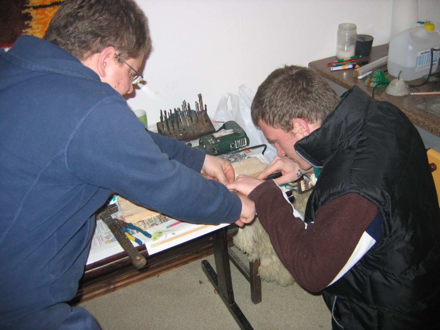 Slike neformalnega skvoja