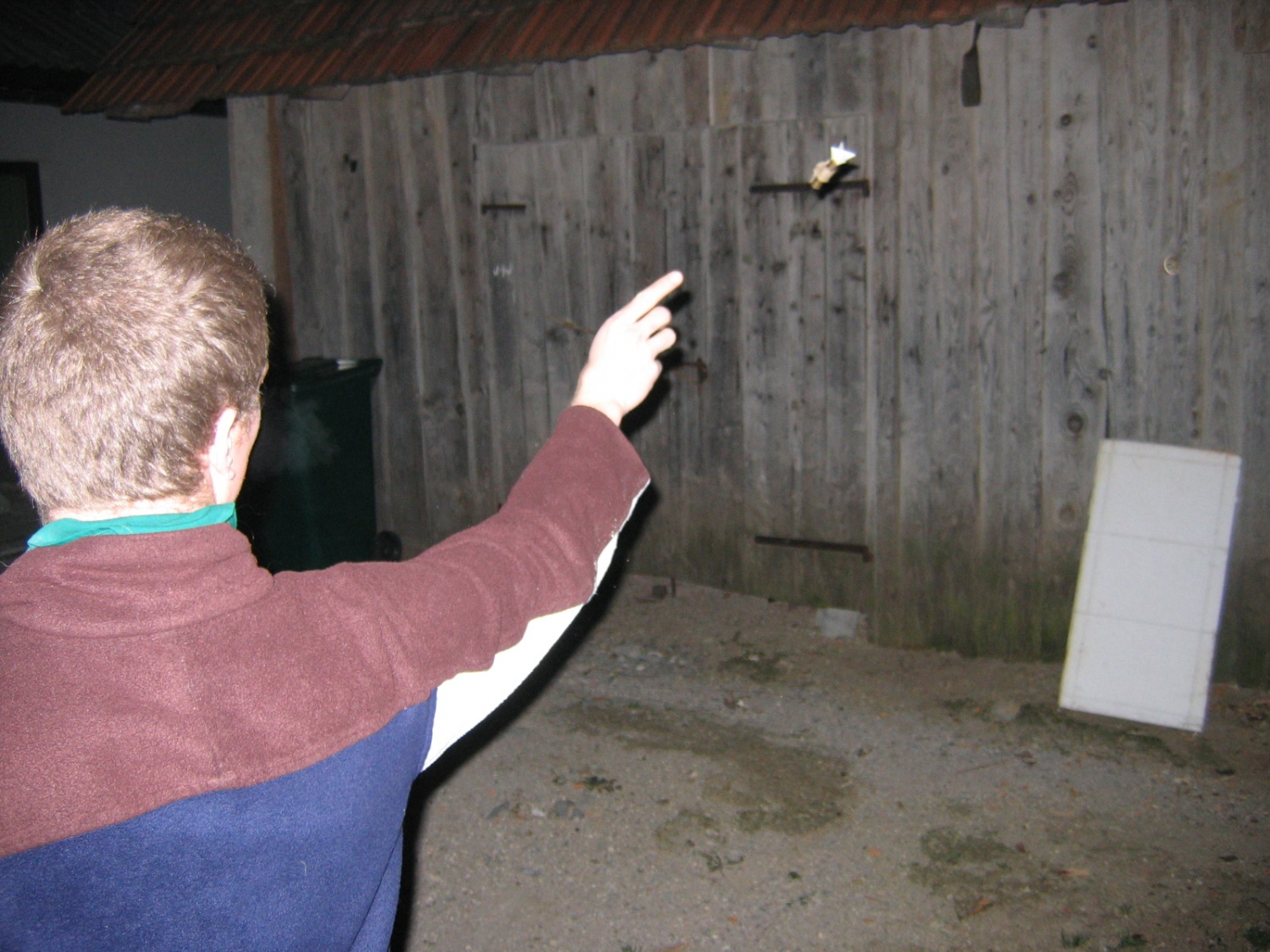 Slike neformalnega skvoja