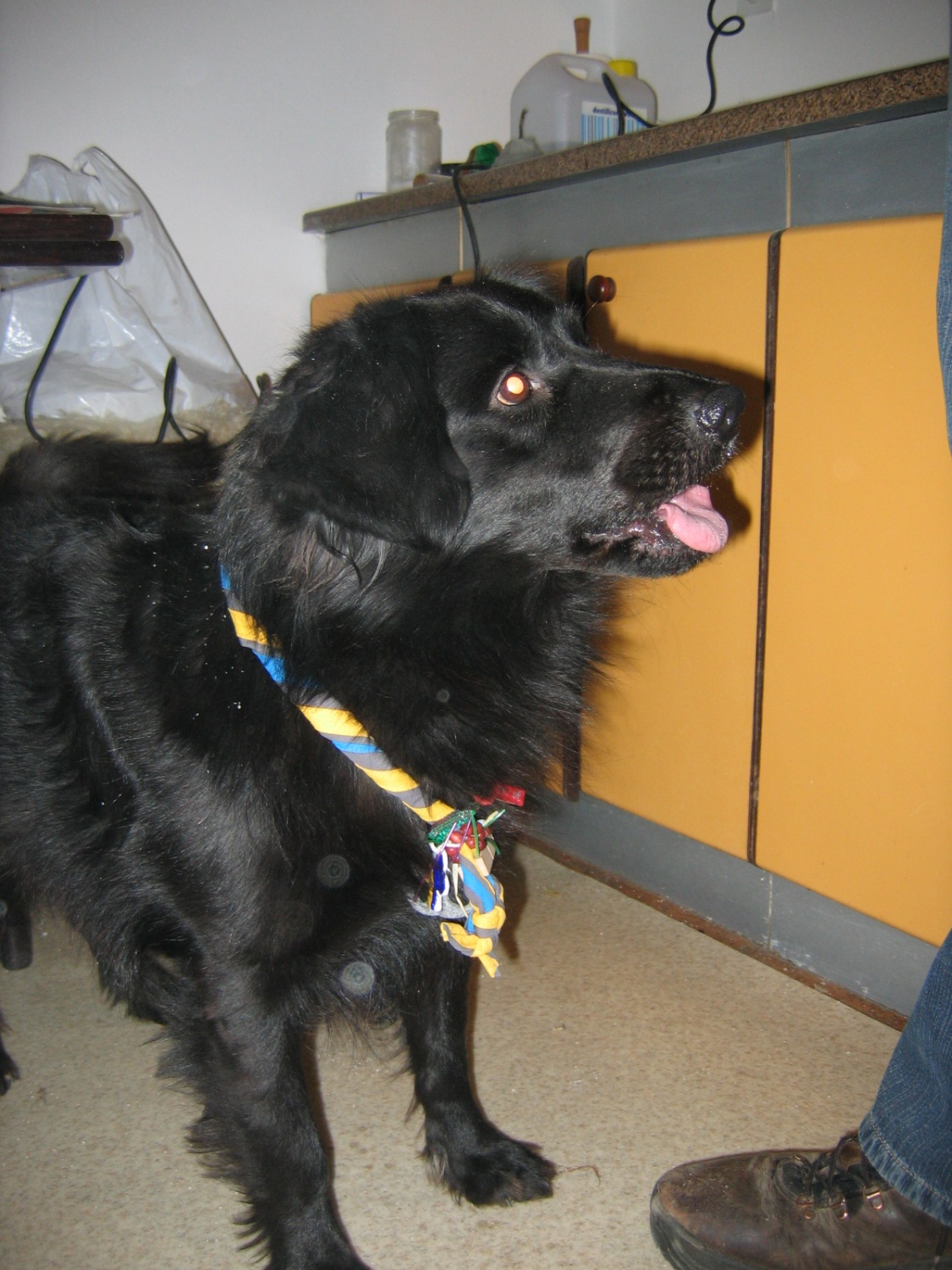 Slike neformalnega skvoja