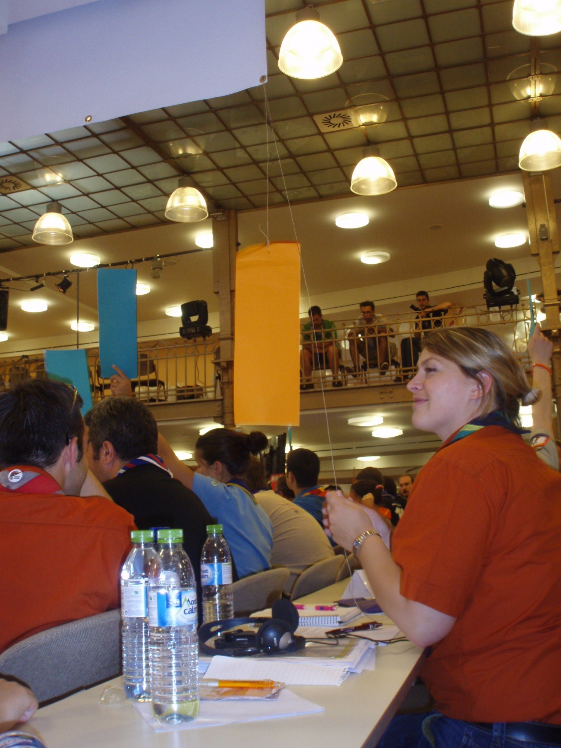 Dvigovanje zastave, ups, volilnega lističa