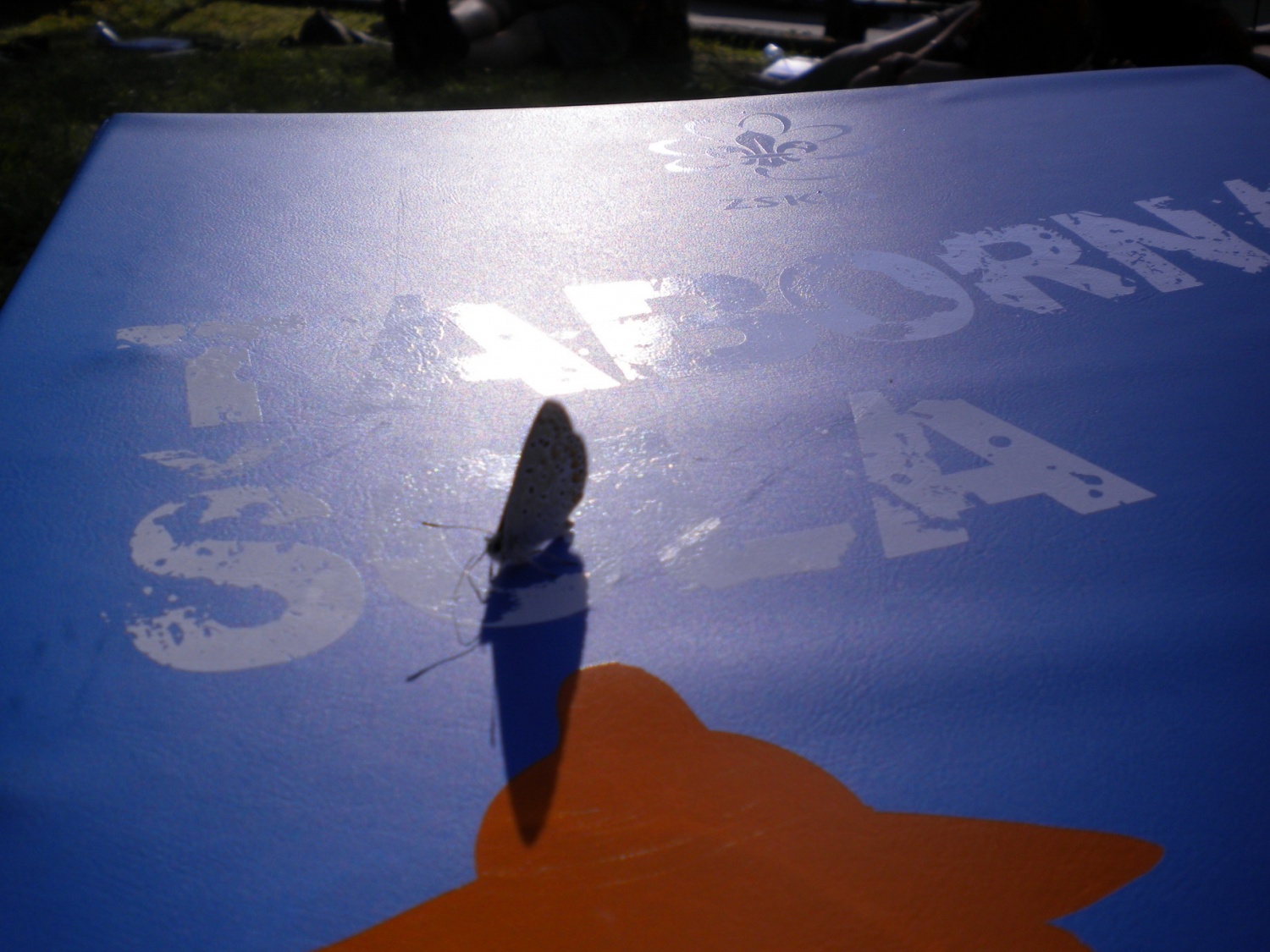 V soboto smo se udeleženci letošnje taborne šole Metode PP s pohajkovanja po dolini Soče vrnili odžejani. Nadaljevanje sledi ...