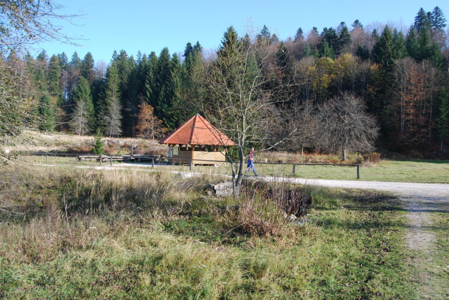 skavtski dom z okolico