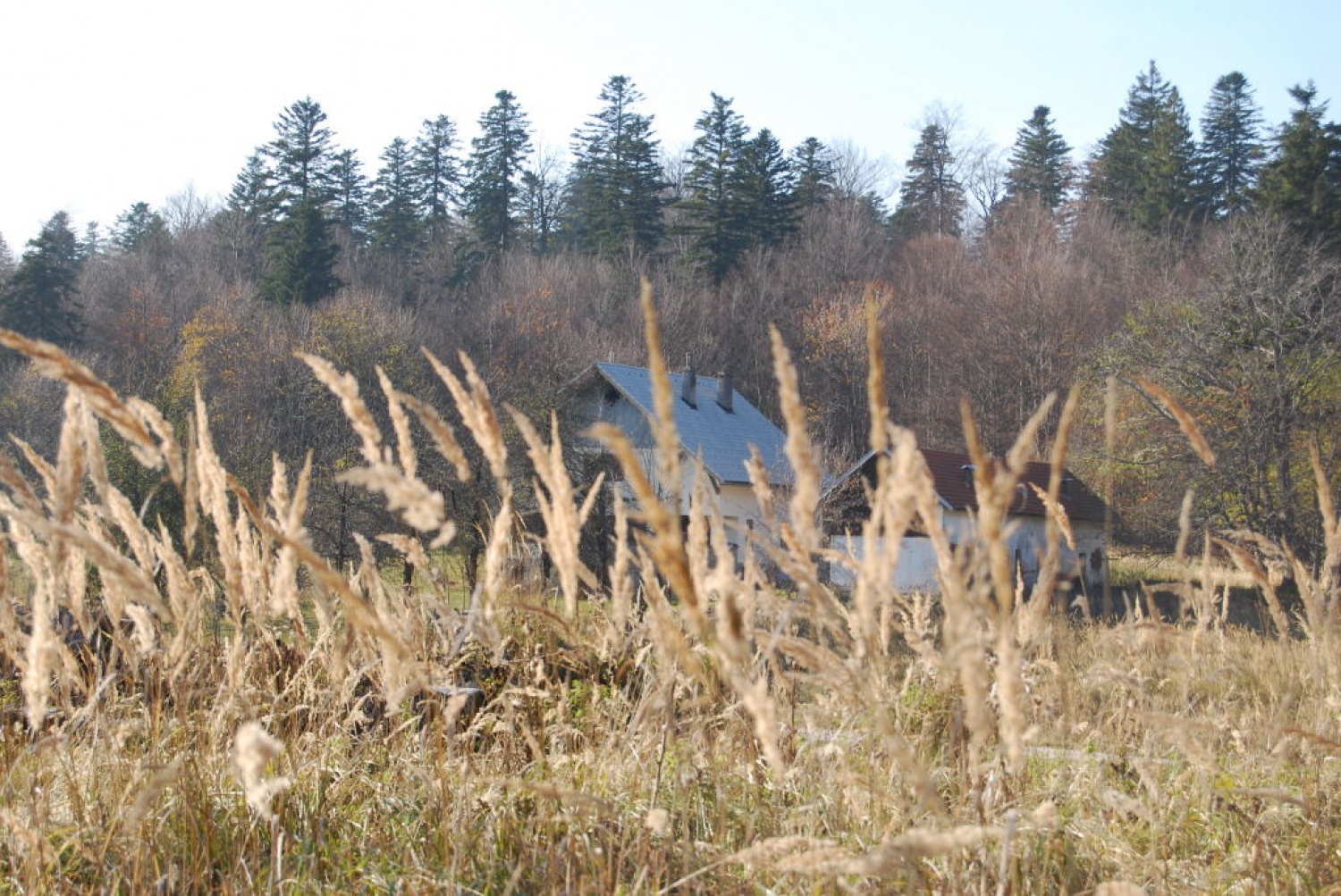 skavtski dom z okolico