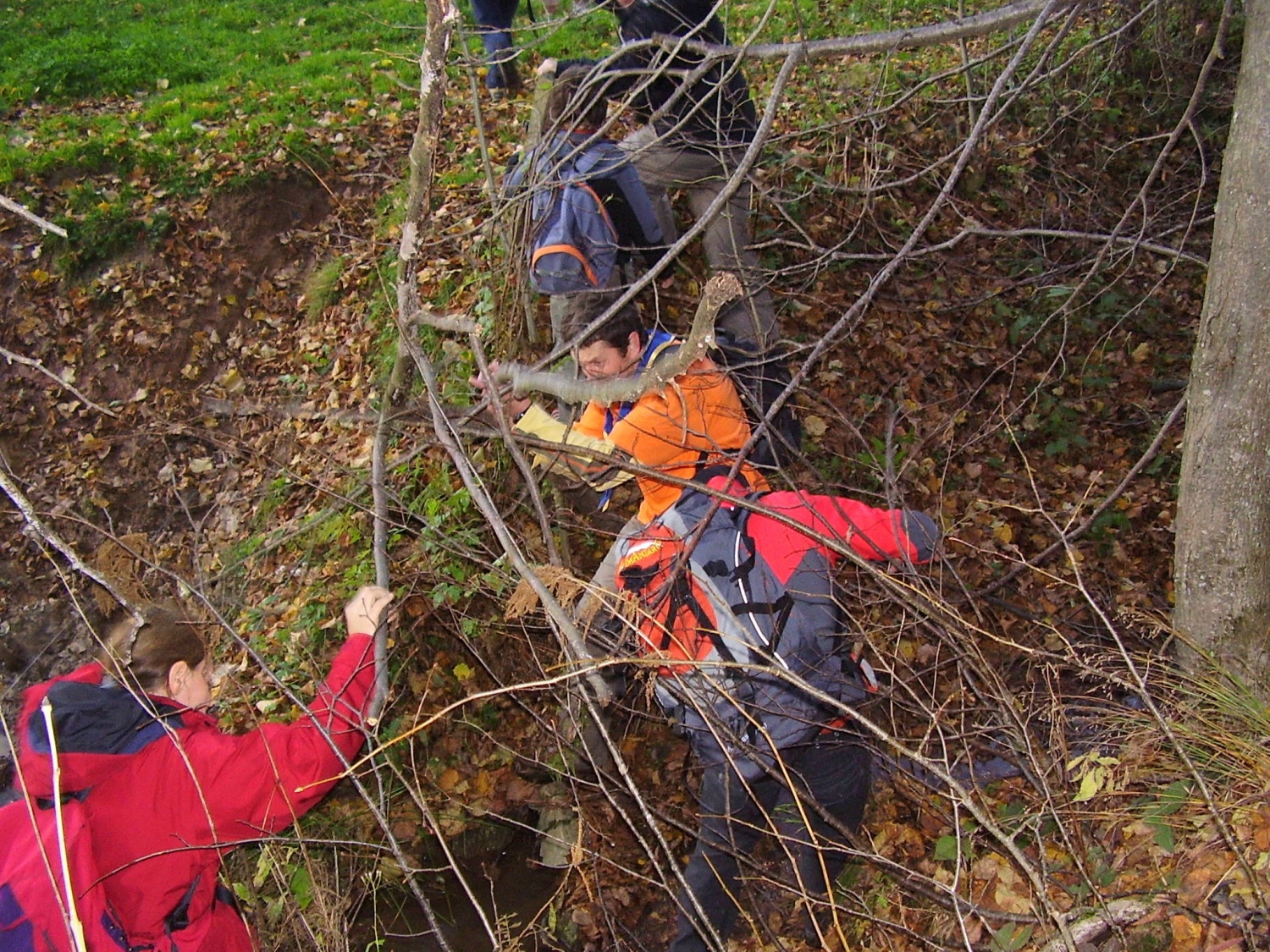 DVIGNI RIT - Jakec 2008