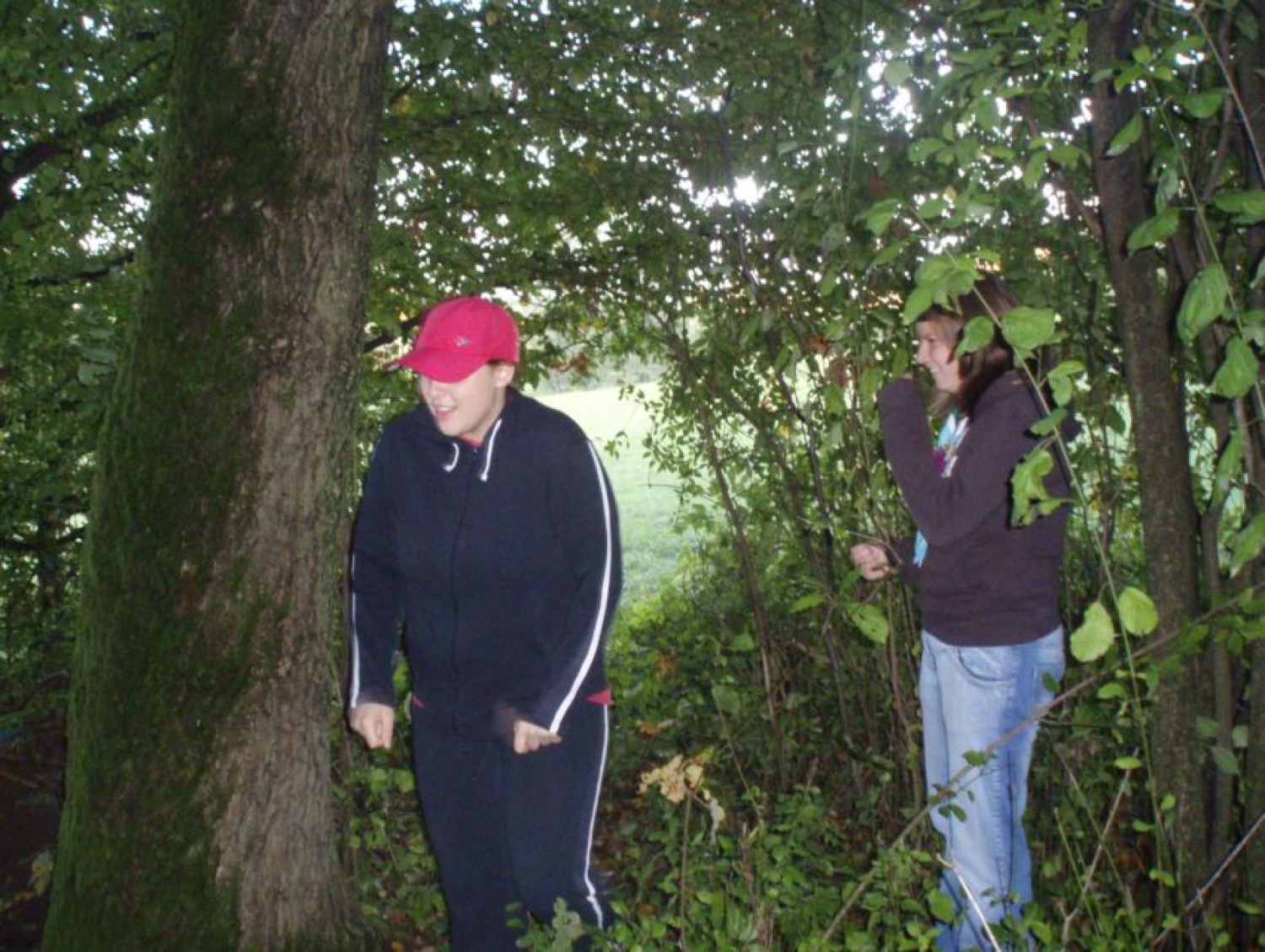 Prehod izvidnice v klan