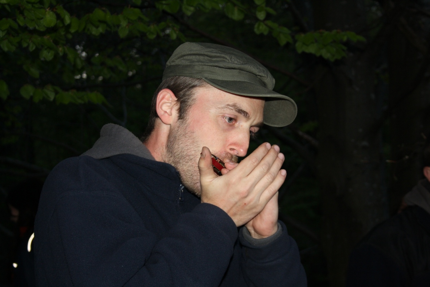 Orglice pa take fore