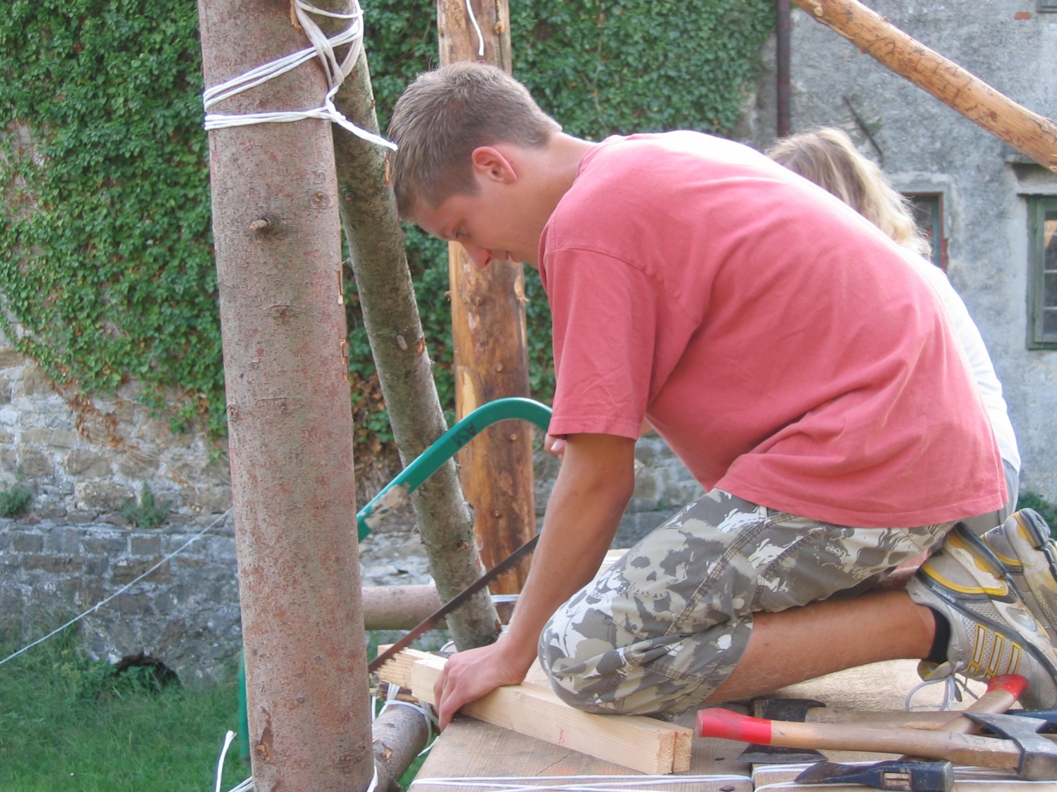 Delavni ris pri delu