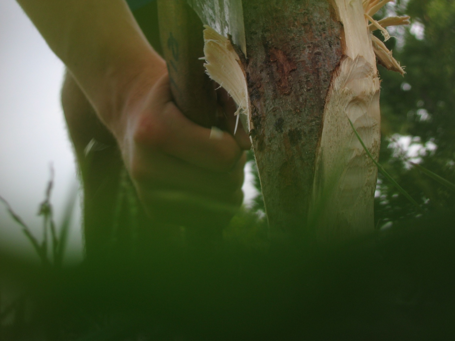 projekt Babilonci v Wajdušni