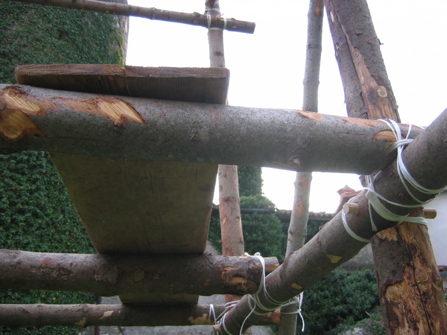 projekt Babilonci v Wajdušni