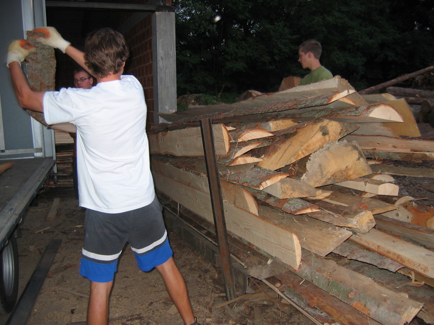 krajniki -  končno smo jih dobili