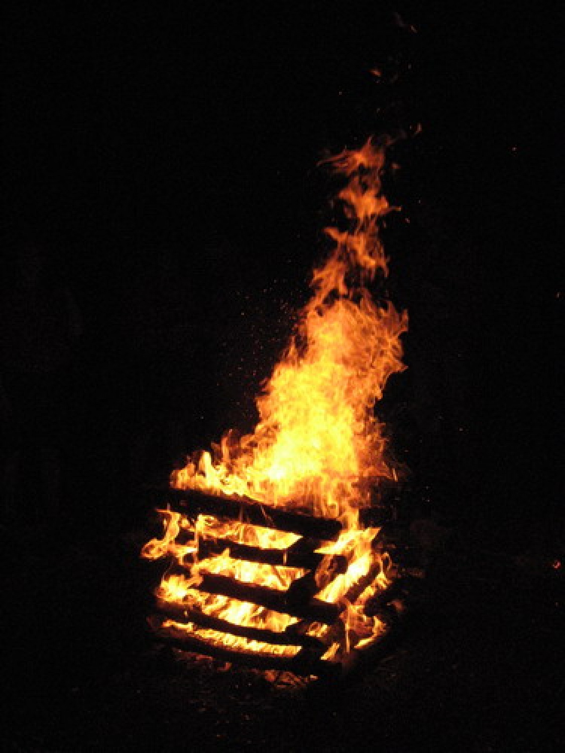 slike iz izziva imenovanega: Hej kobil'ca ti boš moja!