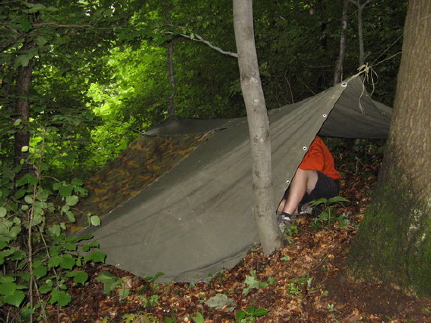 slike iz izziva imenovanega: Hej kobil'ca ti boš moja!