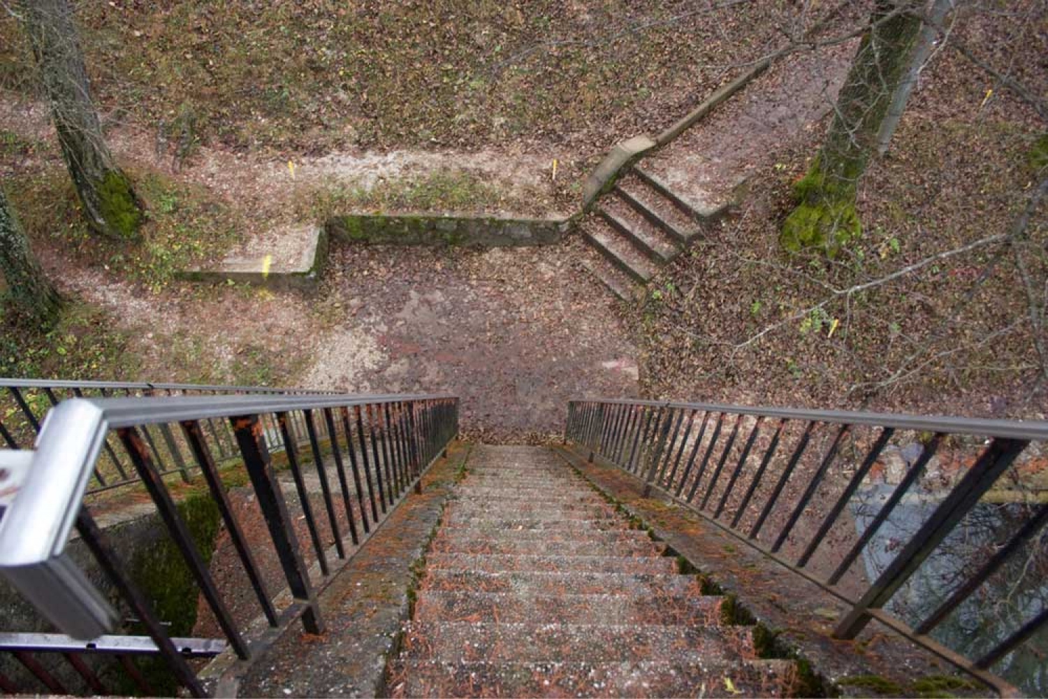Za osvežitev spomina: V začetku  decembra smo se na Bledu zbrali znanja željni skavti iz vse Slovenije. Na dvodnevnem seminarju smo spoznavali osnove pisanja za internetni medij. Hkrati pa smo se s pomočjo Tamina Petelinška, ki se že vrsto let ukvarja s fotografijo, tudi  izpopolnjevali na tem področju. 


(tukaj sem prilepila tudi članek, ker mi iz neznanega razloga ne odpre spodnjega okna za vsebino novice)
Čeprav se je seminar zaključil, pa smo vsi nestrpno pričakovali Taminove komentarje na naše foto zgodbe. Kot nam je bilo obljubljeno, smo jih prejeli na e-mail naslove. V komentarju nam je Tamino podal svoje mnenje in nasvete kako svoje znanje še nadgraditi. Nekaterim je pokazal  nov pogled na njihovo zgodbo in tako širil naše polje znanja. Drugim je fotografije malo priredil, mogoče kje povečal kontraste ali pa odrezal kakšen odvečni del. Ob koncu pa nas je pozval, da se še kdaj s konkretnim vprašanjem obrnemo nanj, saj z vsako novo informacijo širimo obzorja.

Tako se jaz ob začetku leta obračam na vas: Sprašujte, poslušajte in si zapomnite, saj s tem gradite svojo zakladnico znanja. Vse dobro v novem letu!

V imenu udeležencev seminarja  in ekipe Skavt.NET-a se zahvaljujem obema gostoma seminarja. Tako Tonetu, kot Taminu, ki sta bila pripravljena z nami deliti svoj čas, znanje in predvsem izkušnje.

V spodnji galeriji, pa si lahko ogledate končne izdelke naše foto zgodbe.