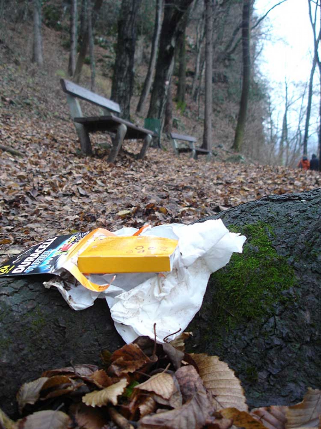 Za osvežitev spomina: V začetku  decembra smo se na Bledu zbrali znanja željni skavti iz vse Slovenije. Na dvodnevnem seminarju smo spoznavali osnove pisanja za internetni medij. Hkrati pa smo se s pomočjo Tamina Petelinška, ki se že vrsto let ukvarja s fotografijo, tudi  izpopolnjevali na tem področju. 


(tukaj sem prilepila tudi članek, ker mi iz neznanega razloga ne odpre spodnjega okna za vsebino novice)
Čeprav se je seminar zaključil, pa smo vsi nestrpno pričakovali Taminove komentarje na naše foto zgodbe. Kot nam je bilo obljubljeno, smo jih prejeli na e-mail naslove. V komentarju nam je Tamino podal svoje mnenje in nasvete kako svoje znanje še nadgraditi. Nekaterim je pokazal  nov pogled na njihovo zgodbo in tako širil naše polje znanja. Drugim je fotografije malo priredil, mogoče kje povečal kontraste ali pa odrezal kakšen odvečni del. Ob koncu pa nas je pozval, da se še kdaj s konkretnim vprašanjem obrnemo nanj, saj z vsako novo informacijo širimo obzorja.

Tako se jaz ob začetku leta obračam na vas: Sprašujte, poslušajte in si zapomnite, saj s tem gradite svojo zakladnico znanja. Vse dobro v novem letu!

V imenu udeležencev seminarja  in ekipe Skavt.NET-a se zahvaljujem obema gostoma seminarja. Tako Tonetu, kot Taminu, ki sta bila pripravljena z nami deliti svoj čas, znanje in predvsem izkušnje.

V spodnji galeriji, pa si lahko ogledate končne izdelke naše foto zgodbe.