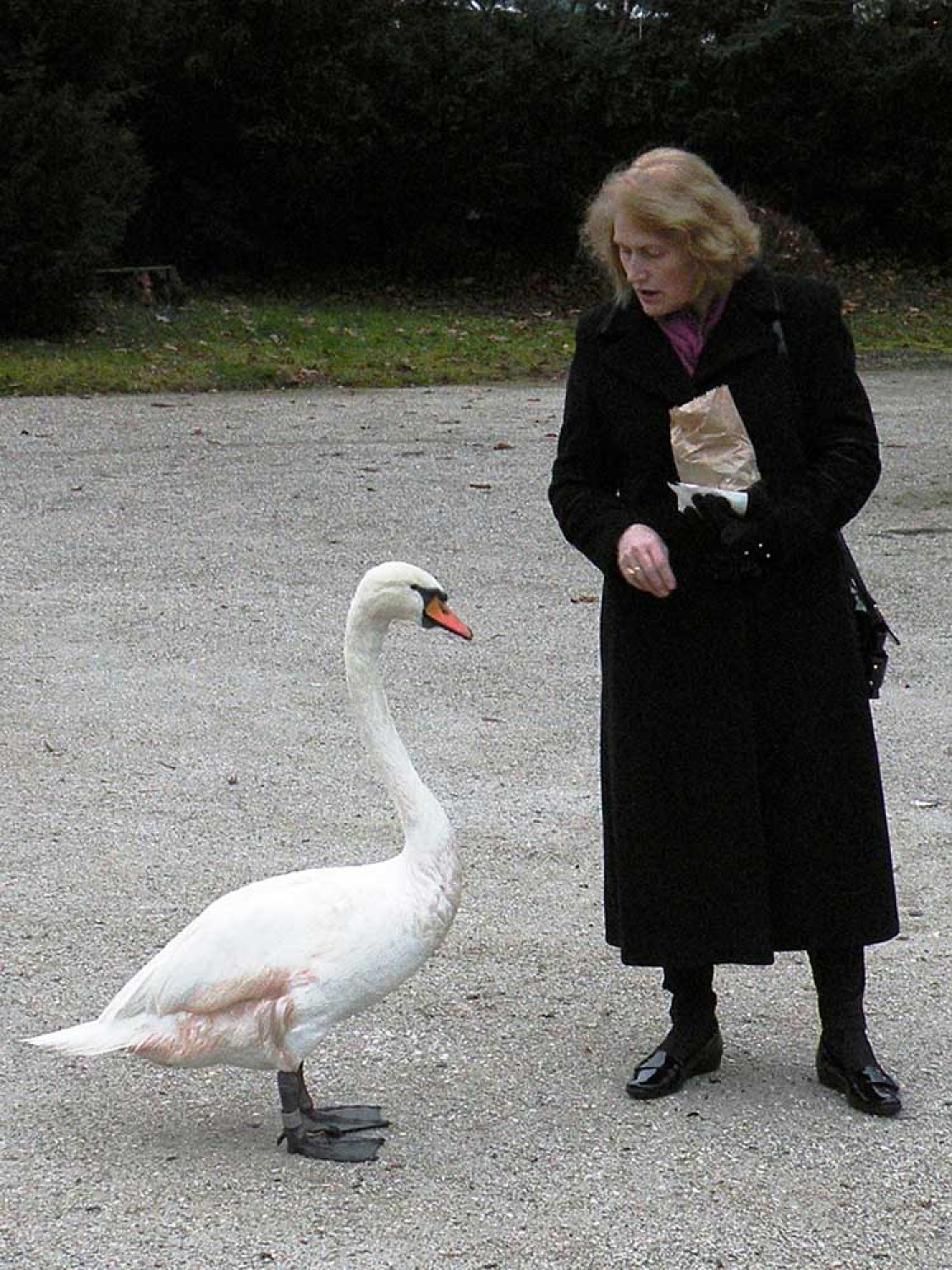 Za osvežitev spomina: V začetku  decembra smo se na Bledu zbrali znanja željni skavti iz vse Slovenije. Na dvodnevnem seminarju smo spoznavali osnove pisanja za internetni medij. Hkrati pa smo se s pomočjo Tamina Petelinška, ki se že vrsto let ukvarja s fotografijo, tudi  izpopolnjevali na tem področju. 


(tukaj sem prilepila tudi članek, ker mi iz neznanega razloga ne odpre spodnjega okna za vsebino novice)
Čeprav se je seminar zaključil, pa smo vsi nestrpno pričakovali Taminove komentarje na naše foto zgodbe. Kot nam je bilo obljubljeno, smo jih prejeli na e-mail naslove. V komentarju nam je Tamino podal svoje mnenje in nasvete kako svoje znanje še nadgraditi. Nekaterim je pokazal  nov pogled na njihovo zgodbo in tako širil naše polje znanja. Drugim je fotografije malo priredil, mogoče kje povečal kontraste ali pa odrezal kakšen odvečni del. Ob koncu pa nas je pozval, da se še kdaj s konkretnim vprašanjem obrnemo nanj, saj z vsako novo informacijo širimo obzorja.

Tako se jaz ob začetku leta obračam na vas: Sprašujte, poslušajte in si zapomnite, saj s tem gradite svojo zakladnico znanja. Vse dobro v novem letu!

V imenu udeležencev seminarja  in ekipe Skavt.NET-a se zahvaljujem obema gostoma seminarja. Tako Tonetu, kot Taminu, ki sta bila pripravljena z nami deliti svoj čas, znanje in predvsem izkušnje.

V spodnji galeriji, pa si lahko ogledate končne izdelke naše foto zgodbe.