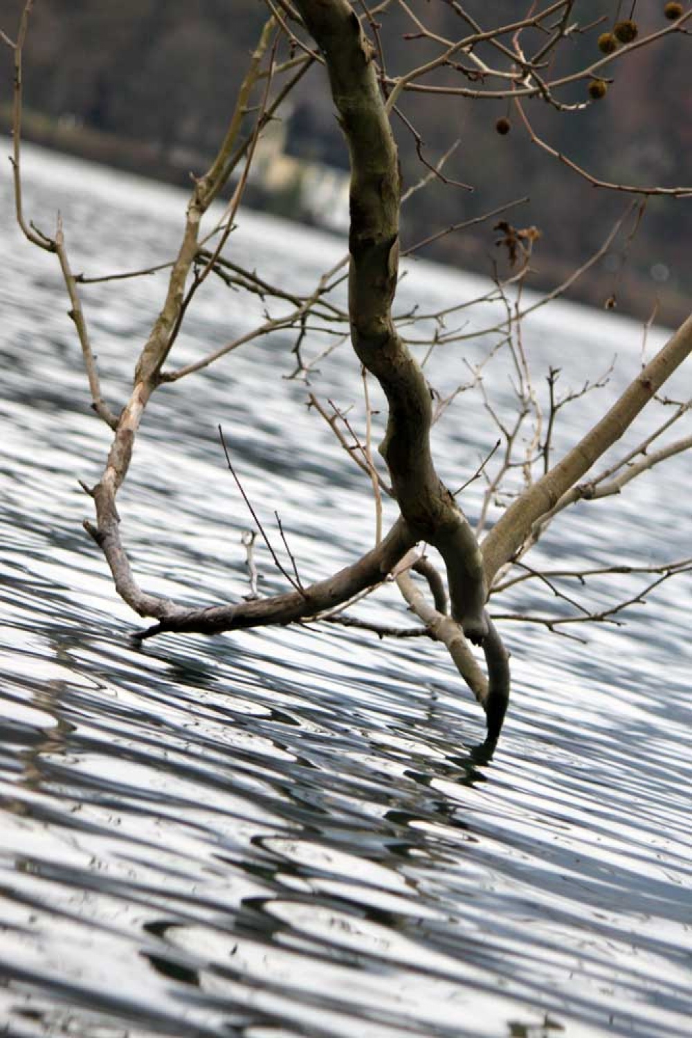 Za osvežitev spomina: V začetku  decembra smo se na Bledu zbrali znanja željni skavti iz vse Slovenije. Na dvodnevnem seminarju smo spoznavali osnove pisanja za internetni medij. Hkrati pa smo se s pomočjo Tamina Petelinška, ki se že vrsto let ukvarja s fotografijo, tudi  izpopolnjevali na tem področju. 


(tukaj sem prilepila tudi članek, ker mi iz neznanega razloga ne odpre spodnjega okna za vsebino novice)
Čeprav se je seminar zaključil, pa smo vsi nestrpno pričakovali Taminove komentarje na naše foto zgodbe. Kot nam je bilo obljubljeno, smo jih prejeli na e-mail naslove. V komentarju nam je Tamino podal svoje mnenje in nasvete kako svoje znanje še nadgraditi. Nekaterim je pokazal  nov pogled na njihovo zgodbo in tako širil naše polje znanja. Drugim je fotografije malo priredil, mogoče kje povečal kontraste ali pa odrezal kakšen odvečni del. Ob koncu pa nas je pozval, da se še kdaj s konkretnim vprašanjem obrnemo nanj, saj z vsako novo informacijo širimo obzorja.

Tako se jaz ob začetku leta obračam na vas: Sprašujte, poslušajte in si zapomnite, saj s tem gradite svojo zakladnico znanja. Vse dobro v novem letu!

V imenu udeležencev seminarja  in ekipe Skavt.NET-a se zahvaljujem obema gostoma seminarja. Tako Tonetu, kot Taminu, ki sta bila pripravljena z nami deliti svoj čas, znanje in predvsem izkušnje.

V spodnji galeriji, pa si lahko ogledate končne izdelke naše foto zgodbe.